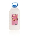 SAPUN TECNI ORVEO SPRING 5L