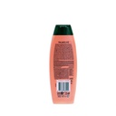 Šampon Palmolive 2u1 hydra balance 350ml
