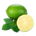 LIMETA